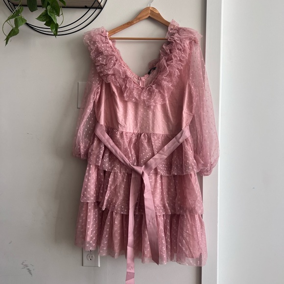 Polka Dot Plus Size Dress. Plus size Pink Dress - Picture 4 of 4